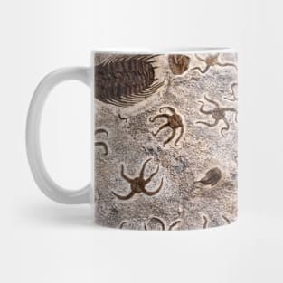 Fossils 3 Mug